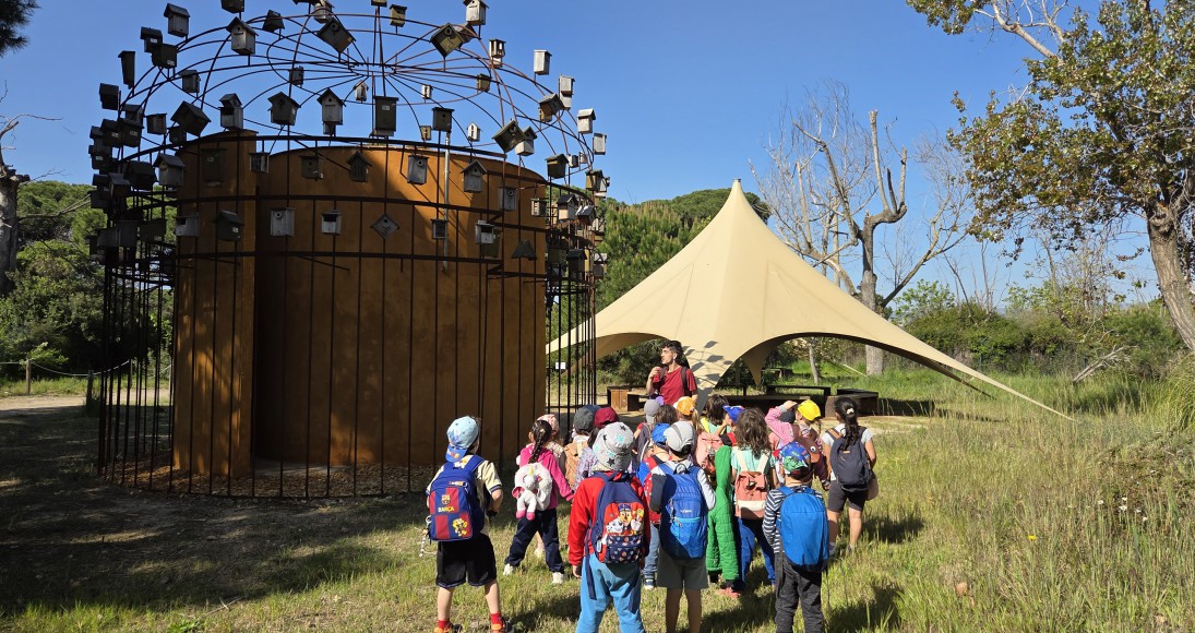 Sortida al Delta del Llobregat