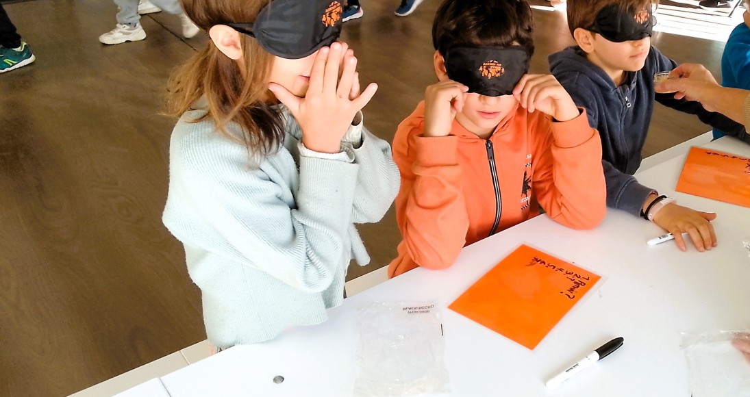 Dia Internacional de les Persones amb Discapacitat, Escola 30 pasos