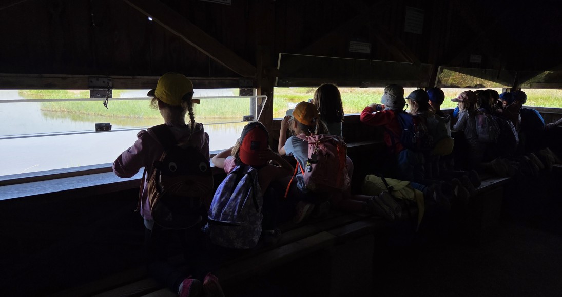 Sortida al Delta del Llobregat