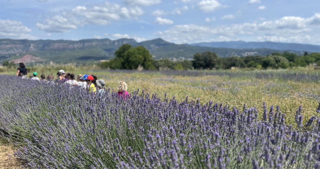 Sortida al Parc de les Olors