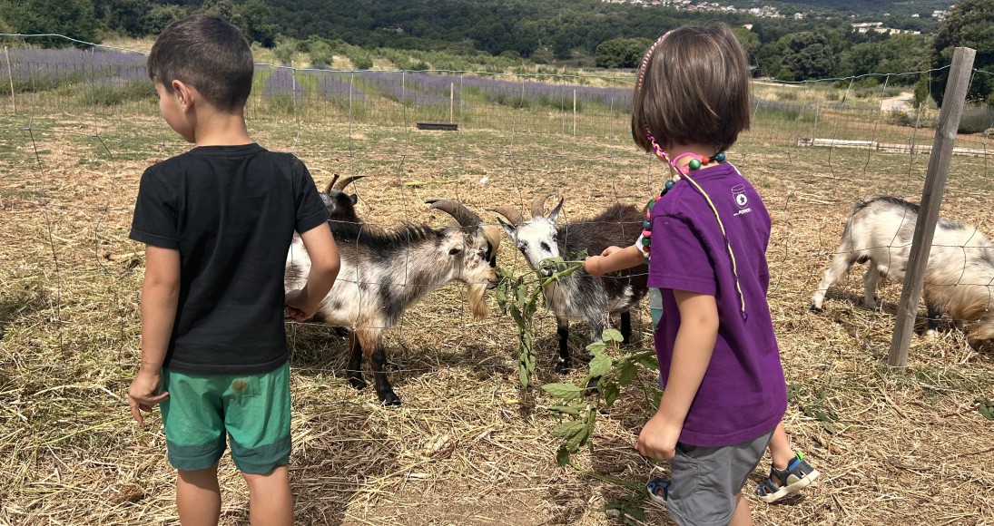 Sortida al Parc de les Olors